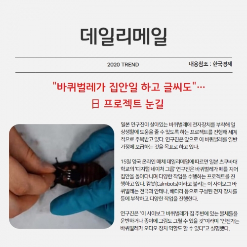 광고대행사, 애드블룸