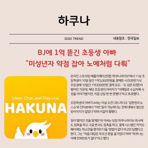 디지털마케팅, 애드블룸